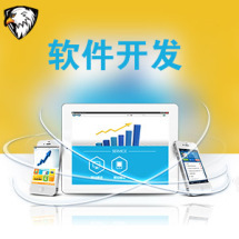 軟件外包服務(wù)報價指南 從高到低九品價格體系詳解