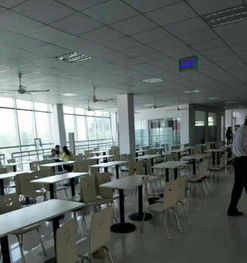 工廠食堂與軟件外包服務(wù) 泉州600人工廠外包實踐解析