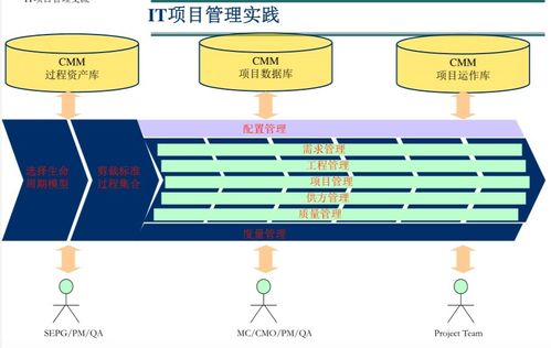 軟件外包項目的有效管理 策略、流程與挑戰